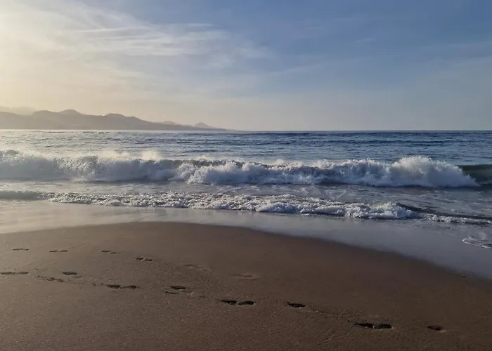 公寓 Canteras At Marina 19 大加那利岛拉斯帕尔马斯