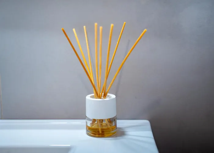 公寓 Canteras At Marina 19 大加那利岛拉斯帕尔马斯